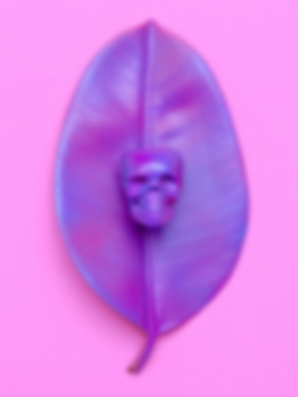 portfolio-img